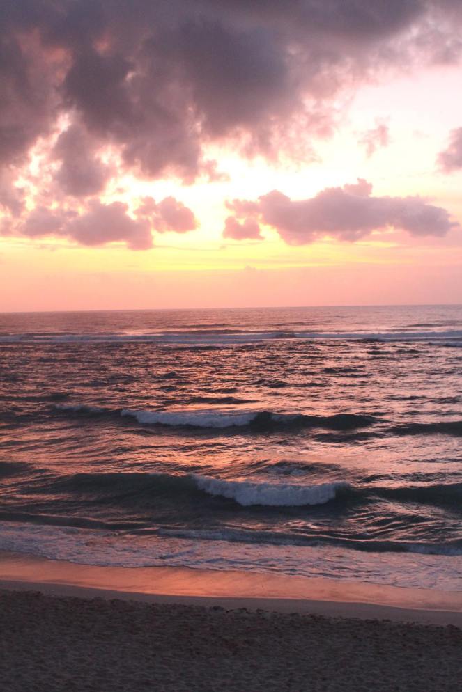 15304214_942402082202_4762896487307653296_o